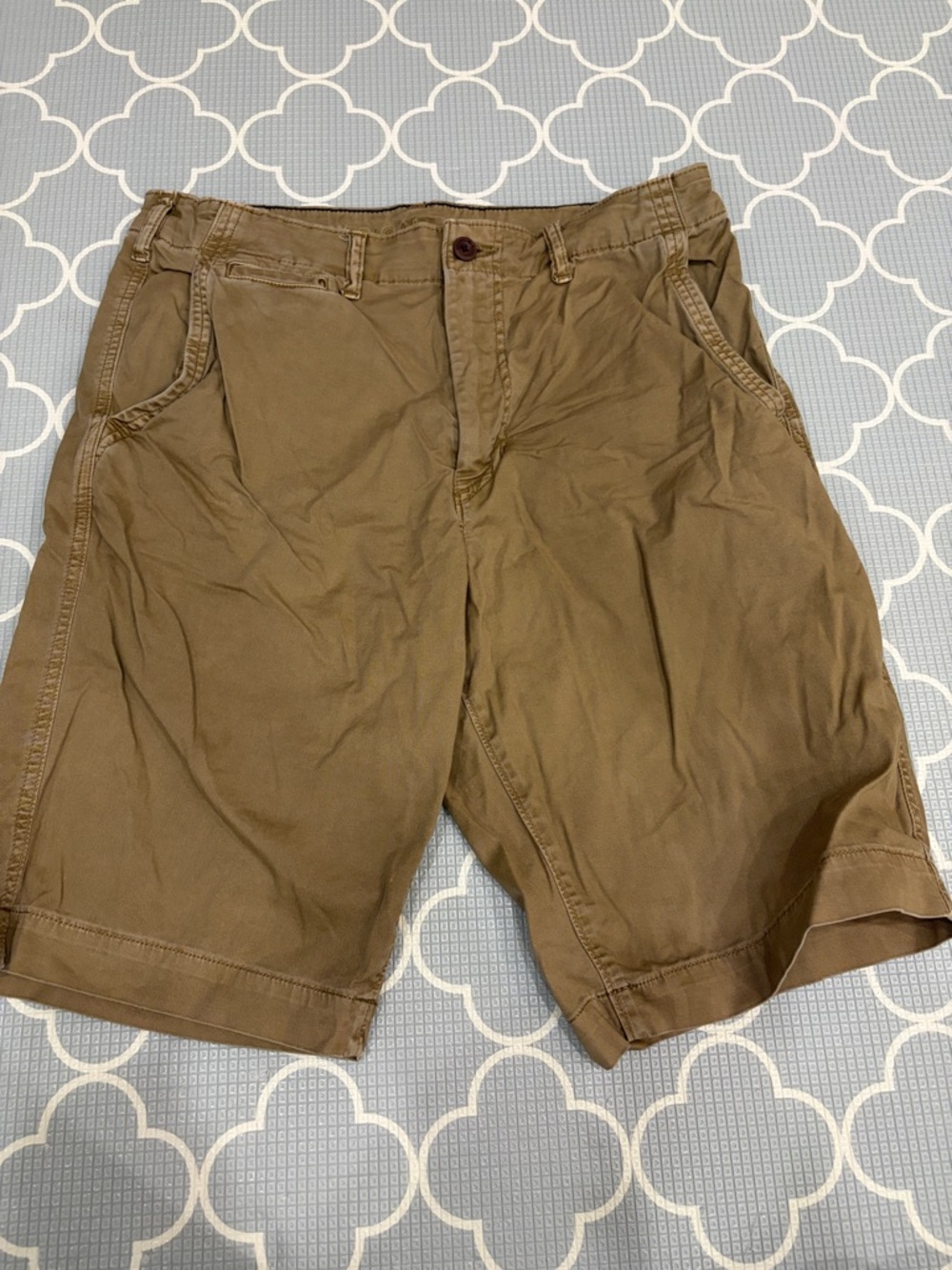 American Eagle Outfitters Men's Brown Flat-Front Shorts